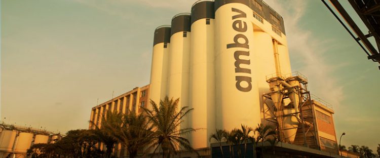 Ambev abre iscrições para estagiários