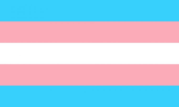 Na foto, a bandeira do orgulho trans. A bandeira é composta por cinco linhas: uma azul, uma rosa, uma branca, uma rosa e outra azul, uma abaixo da outra. Neste mês, há vagas para pessoas trans na Diageo